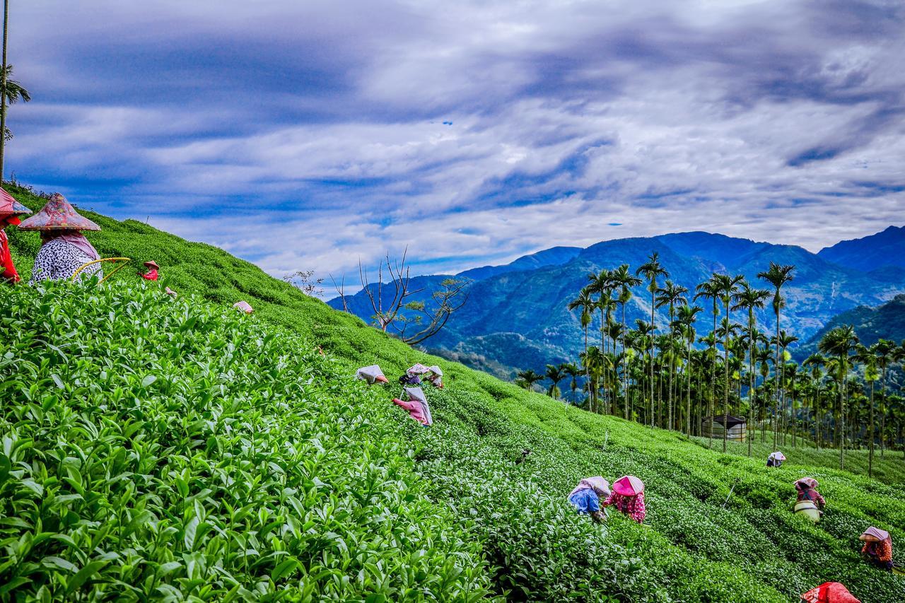 Апартаменти Look Tea House Meishan Екстер'єр фото